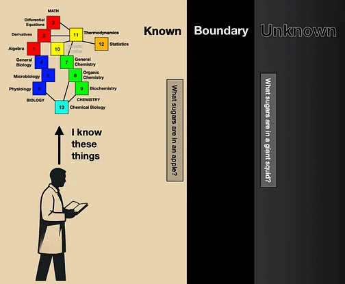 This animation illustrates how blocks of established knowledge can be stacked together to form a scaffold that reaches across the boundary of the known and into the unknown. By linking already answered questions — like identifying sugars in an apple — with the right combinations of math, biology, and chemistry, we can